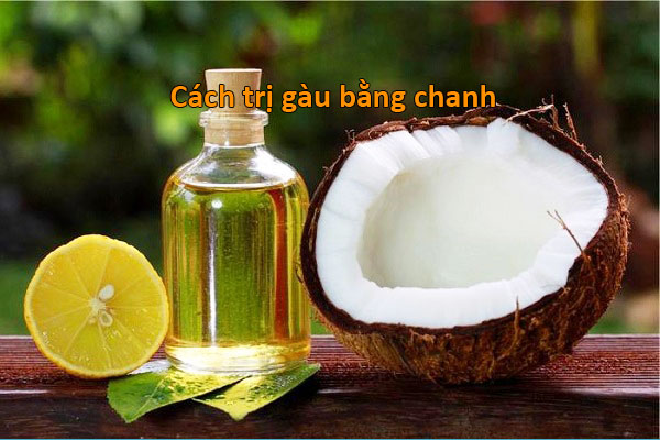 Chanh và dầu dừa giúp mái tóc sạch gàu